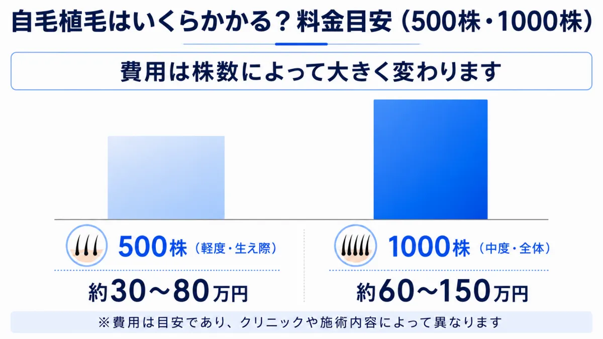 自毛植毛の料金相場比較｜500株と1000株の費用目安