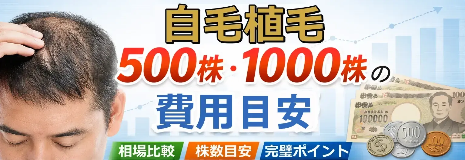 自毛植毛500株・1000株の費用目安イメージ