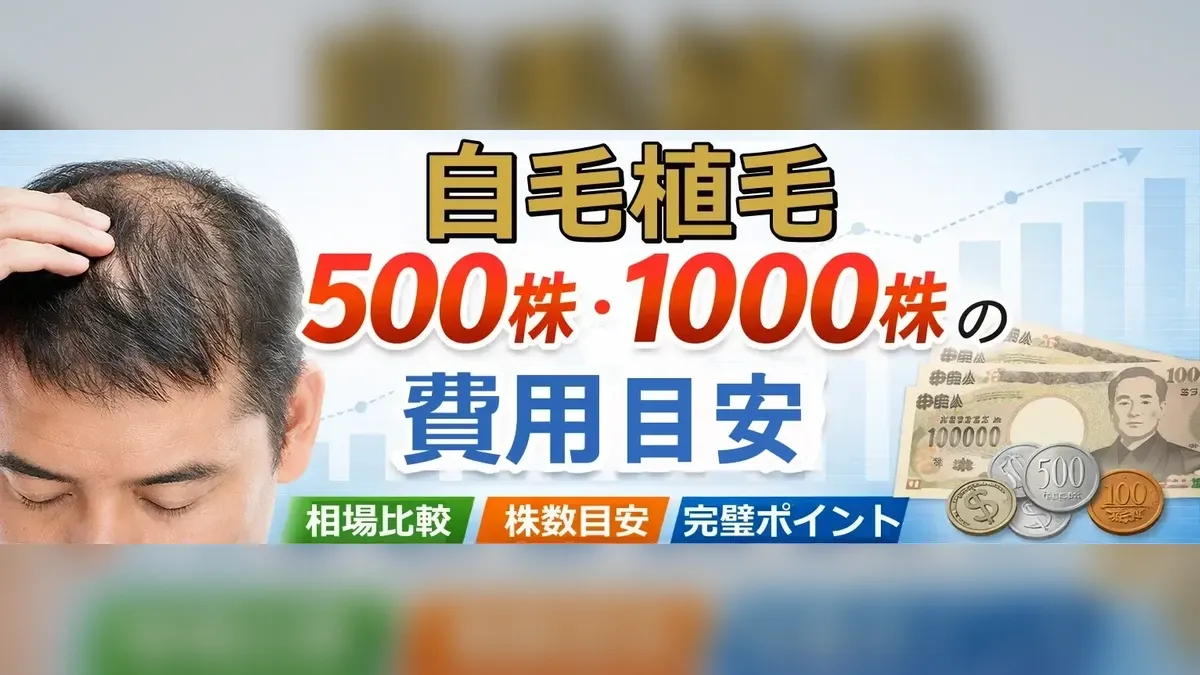 自毛植毛500株・1000株の費用目安イメージ