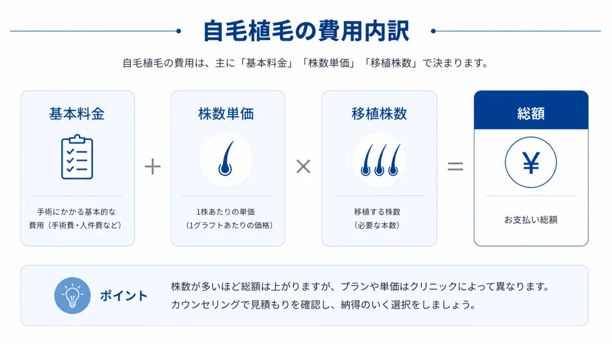 自毛植毛の費用内訳を整理した図解